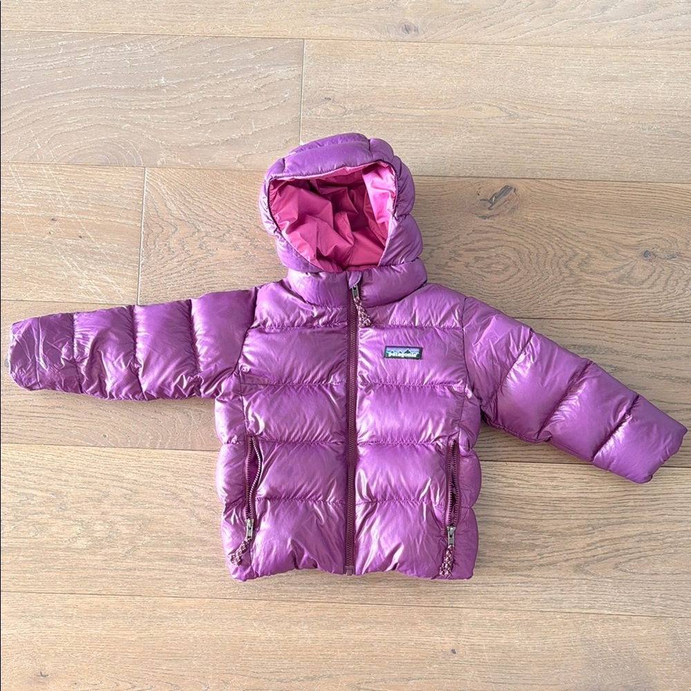 Patagonia Hi-Loft Down Sweater™ Hoody in 2T